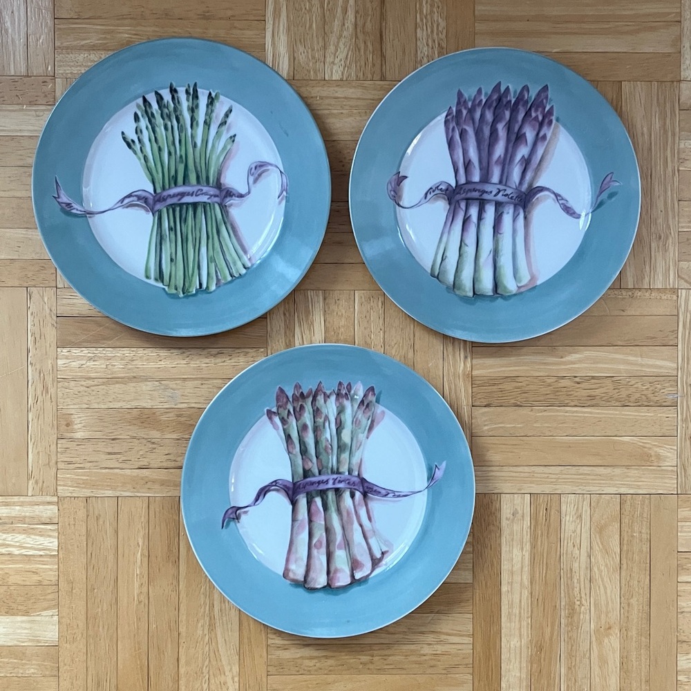 Williams-Sonoma  3 asparagus themed 9 inch plates with aqua rim EUC